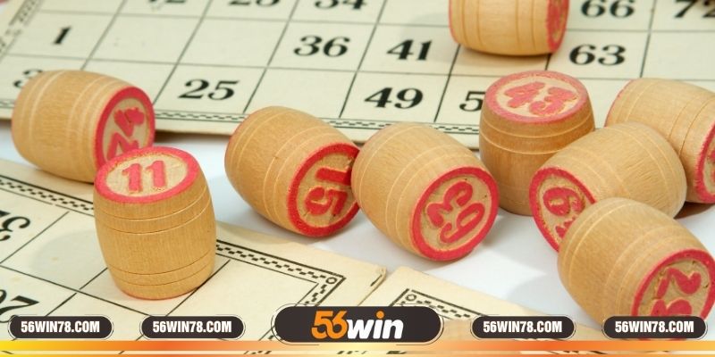 Cách áp dụng đơn giản cho thành viên chưa có kinh nghiệm