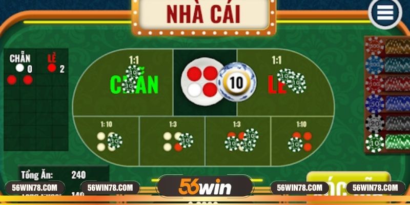 Cách đặt cược chi tiết cho người tham gia