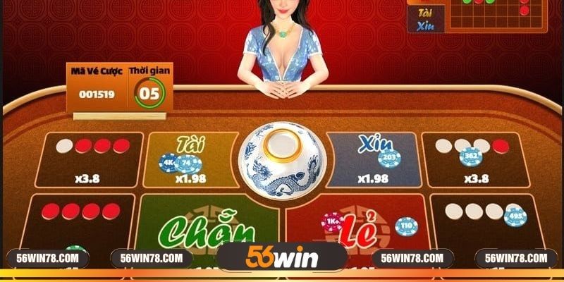 Chú ý kỹ về quy luật màu trong từng lượt