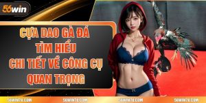 Cựa Dao Gà Đá - Tìm Hiểu Chi Tiết Về Công Cụ Quan Trọng