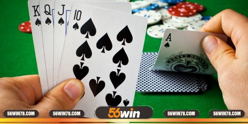 Hướng dẫn chia chuẩn ở trong ván cược