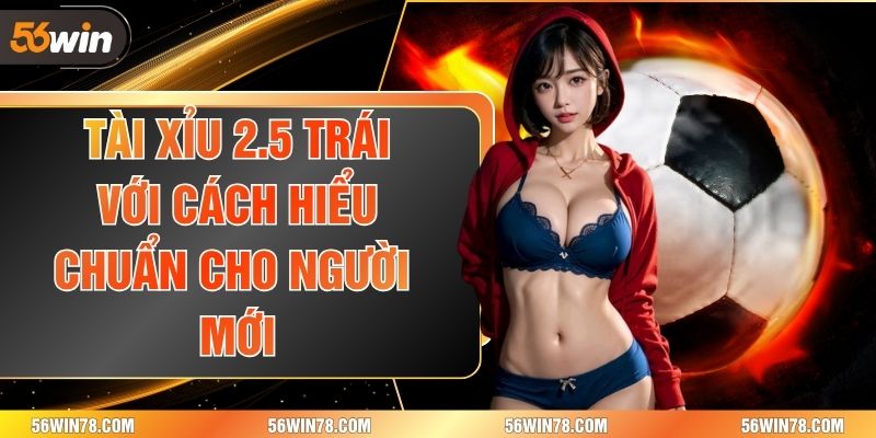 Tài Xỉu 2.5 Trái Với Cách Hiểu Chuẩn Cho Người Mới