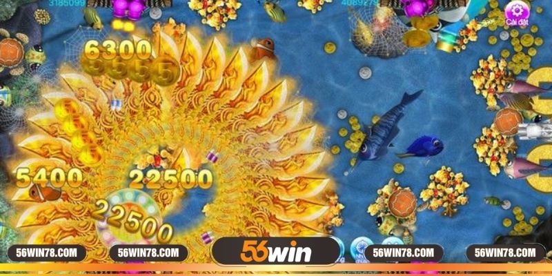 Tất cả các mức cược có tại sảnh chơi